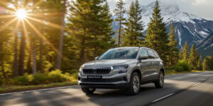Alternative view of Skoda Karoq Premium