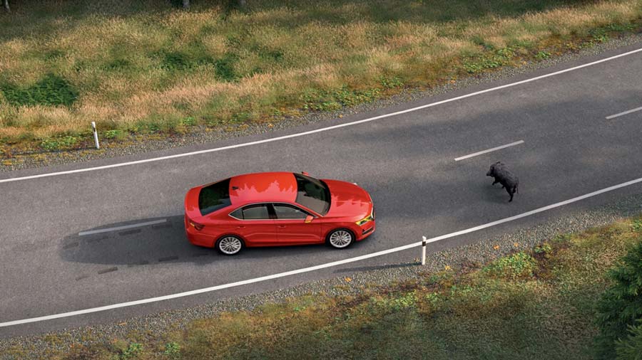 Skoda Octavia RS Skoda Octavia RS